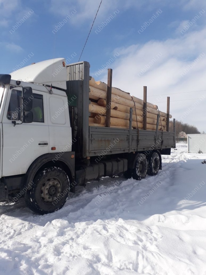Баня под усадку, сруб в чашу — фото 6 Баня под усадку, сруб в чашу — фото 6